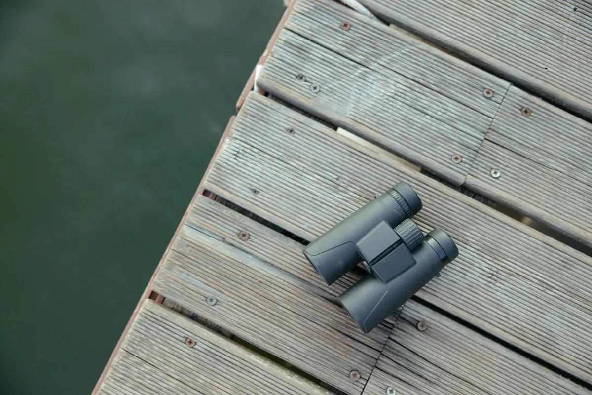Beginner's Guide to Birdwatching: Choosing Binoculars, a Field Guide and Your First Local Patch
